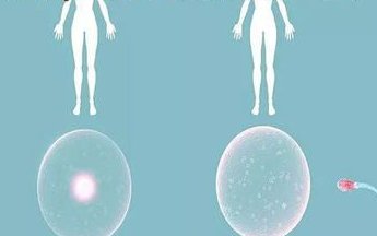 贵州贵阳十大正规助孕公司推荐，看完介绍就明白怎么选择了