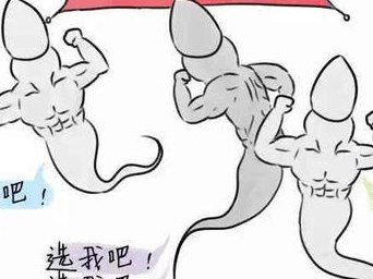 妇幼试管婴儿治疗中的辅助生殖技术，如何保障怀孕成功？