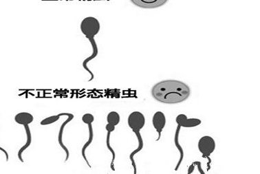 从深圳去泰国试管婴儿需要多少钱？