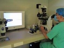 女性有染色体罗氏易位在密山市做试管养囊成功率高吗？试管移植后需要保胎吗