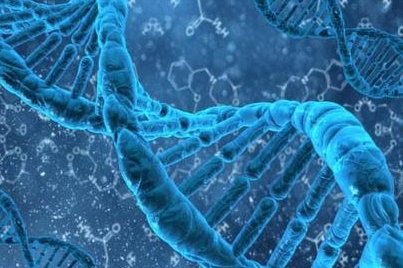 泰国试管婴儿成活率有多少？费用大概多少钱？