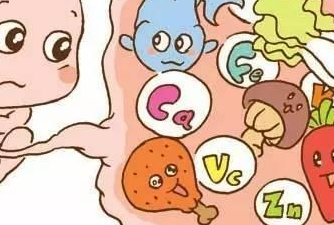 三代试管促排卵后多久能移植胚胎？附三代试管促排卵后的饮食调理