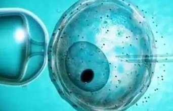 南京三代试管选胚胎的利弊，法律是怎么的？