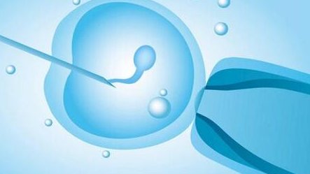 永泰助孕中心_特殊助孕首选_沈阳三代试管机构在线咨询