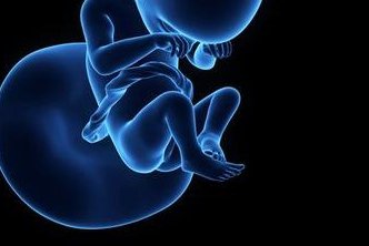 天津试管婴儿医院哪家成功率较高？这些医院别错过