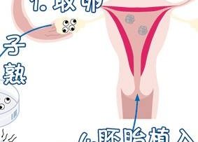 子宫息肉在福建省妇幼做三代试管十五万够吗？钱都花到了哪些地方